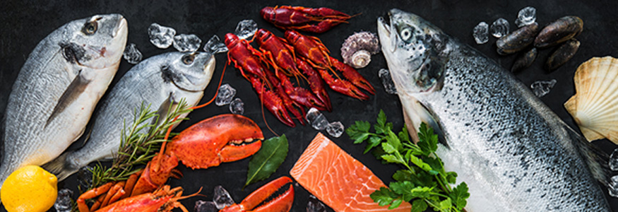 Arranged Food and Objects