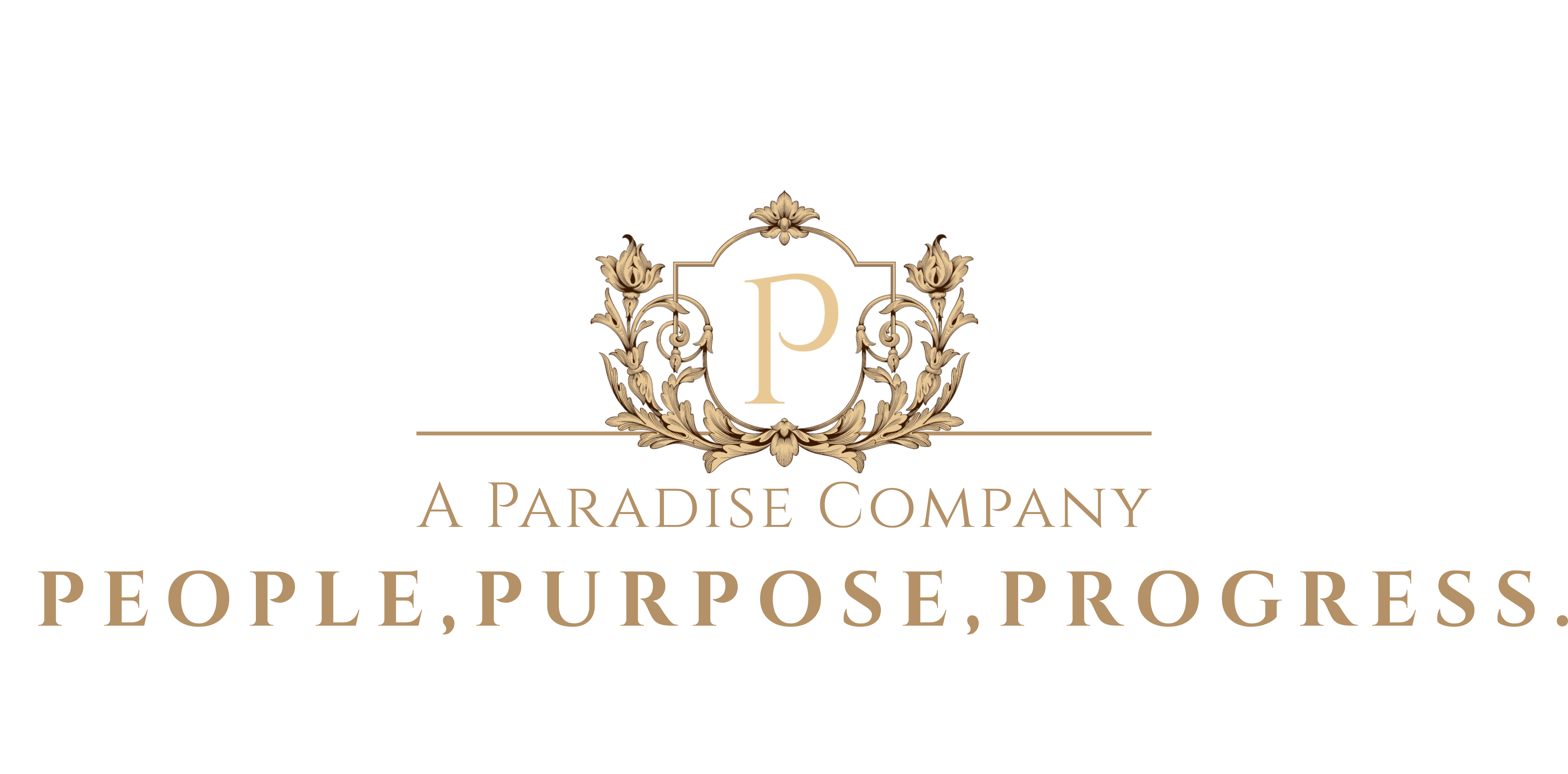 A Paradise Company Inc. Logo