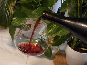 The Enchanting World of Pinot Noir: Unveiling the Secrets of a Seductive Wine