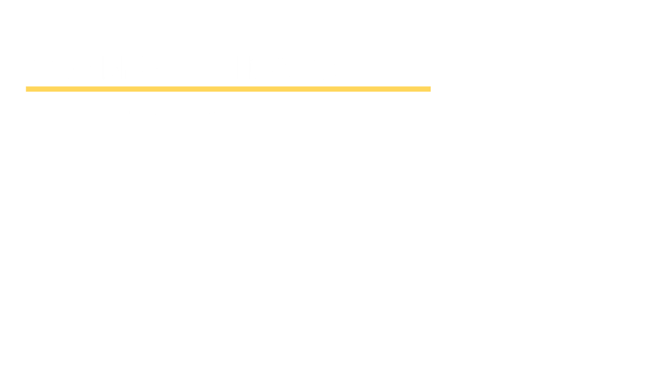 Copy of Untitled (3).png
