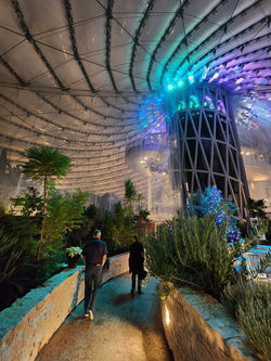 The Mediterranean garden