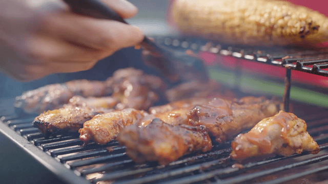 ASMOKE Portable Applewood Pellet Grill Indiegogo grill BBQ