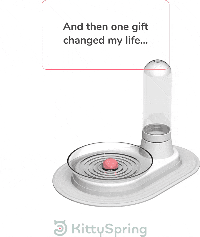 KittySpring, Kickstarter, cat-friendly water fountain, for cats, cats accessories