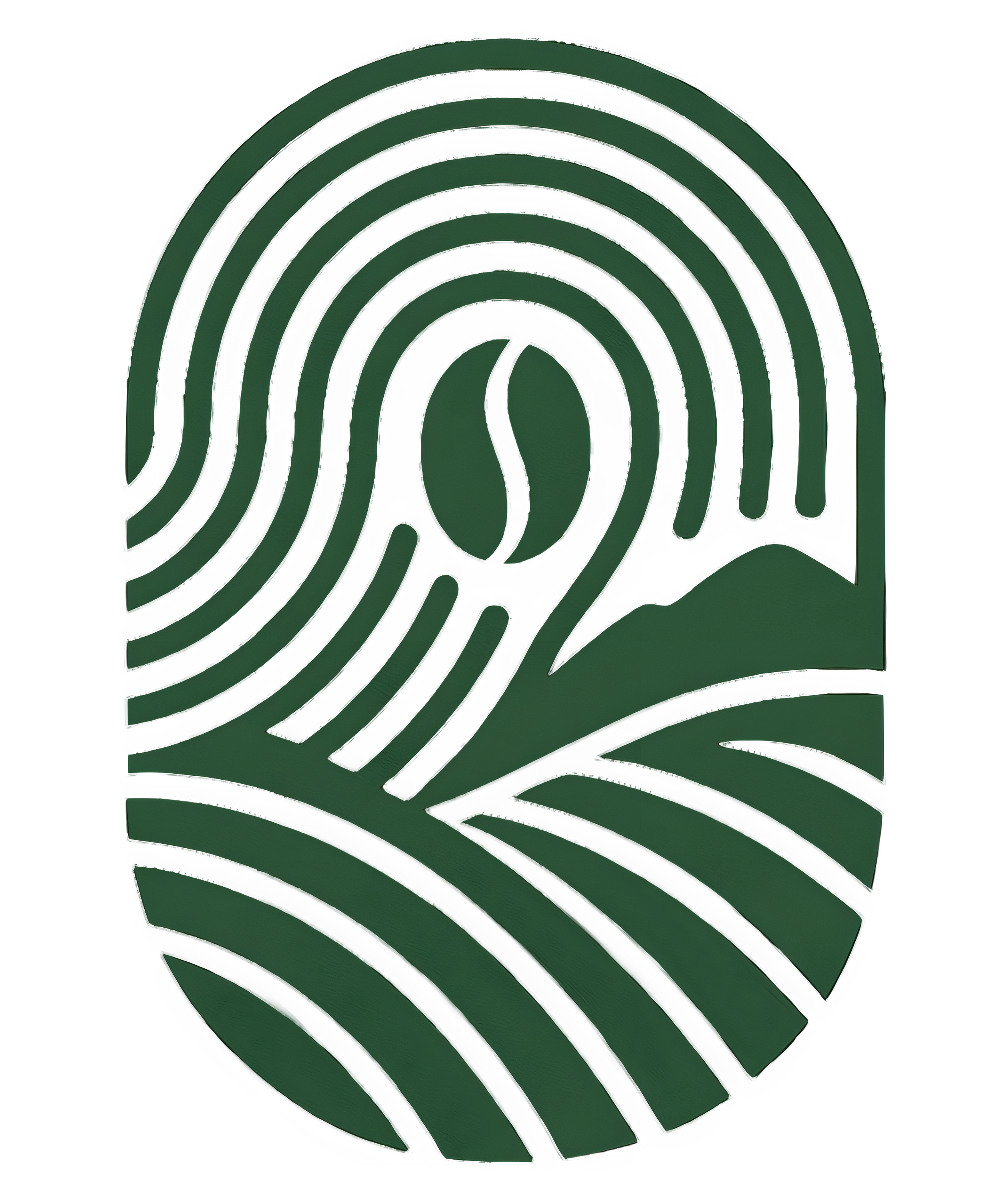 transparent logo  (4).png