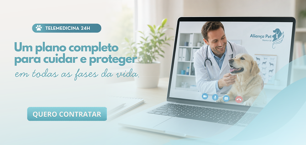 SIte Capa (5).png