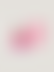 Huda Beauty blush, liquid blush review, best liquid blush, makeup trends 2024, blush filter review, Huda Beauty makeup, glow blush, soft-focus blush, long-lasting blush, natural blush glow.