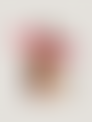 Rhode skincare brand, Hailey Bieber beauty, peptide lip treatment, Rhode lifestyle brand, Rhode phone case, cult favorite skincare, celebrity beauty line, sensory marketing strategy, Rhode product launch, Rhode mirror selfies