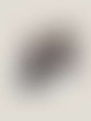 2026 Fashion Trends I’m Actually Paying Attention To