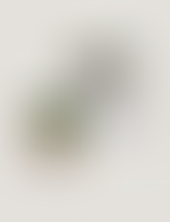 girls night ideas, monthly girls night themes, girls night at home, fun girls night ideas, girls night activities, girls night planning, friends night ideas, girls night calendar, creative girls night, cozy girls night