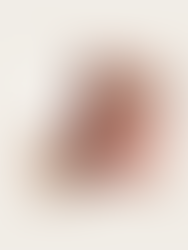 An Honest Review of Hailey Bieber's New Rhode Pocket Blush
