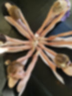 20190506_182052