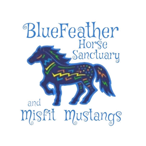 Writer: BlueFeatherSanctuary