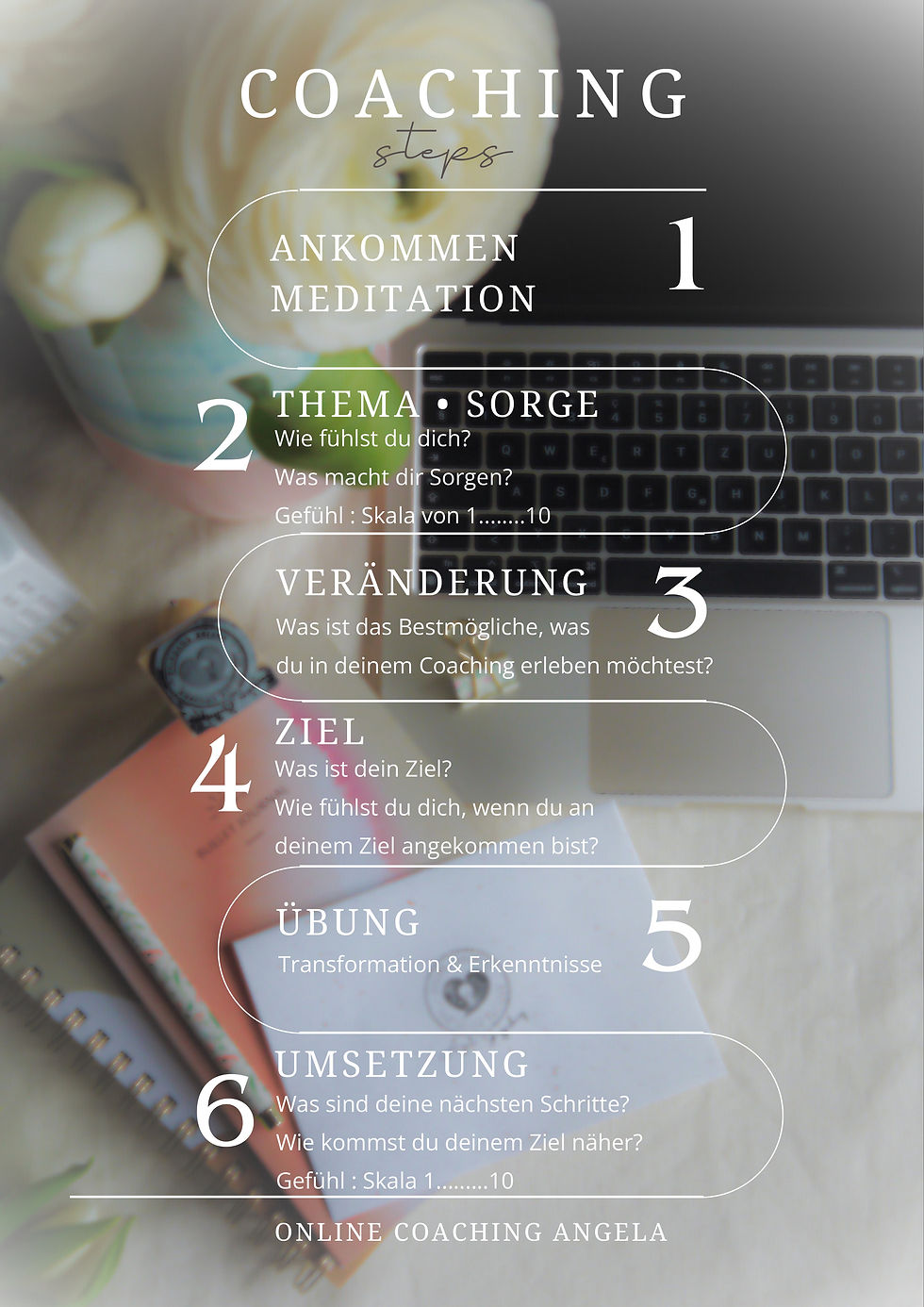 6CoachingStepsA4Milchig+-1.jpg