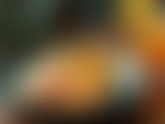 Premium Dehydrated Citrus Fruit Slices for Visual Beverage Enhancements