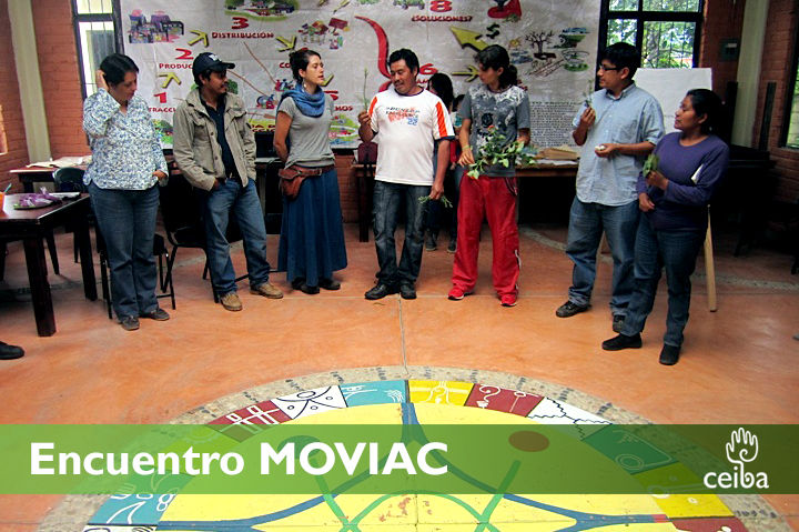 moviac8.jpg