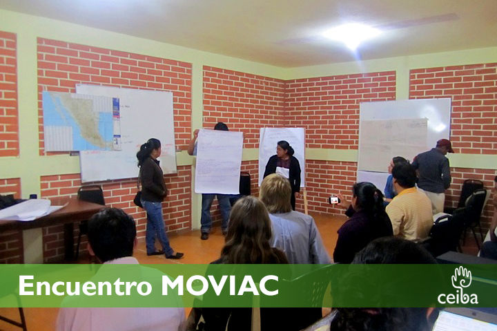 moviac10.jpg
