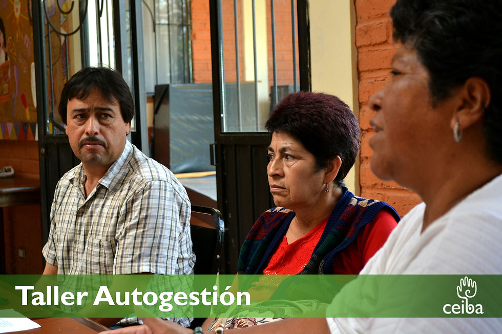 taller+autogestion4.jpg