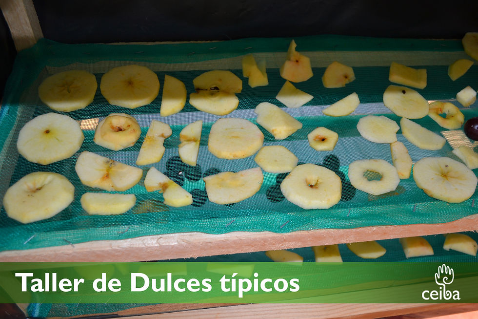 dulces12.jpg