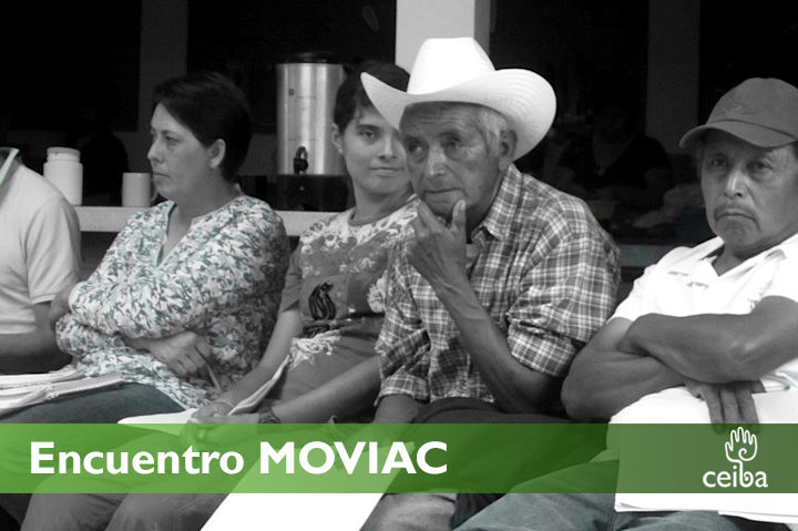 moviac5.jpg