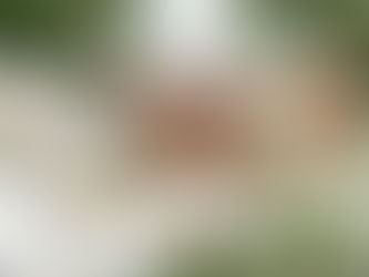 Heartfelt Celebrations: Designing Immersive Experiences with Curated Moments: