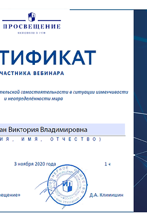 Сертификат участника вебинара- 03.11.2020.png