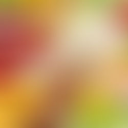 Corona Virüs Beslenme Corona Virüs Sürecinde Neler Yemeliyiz ?