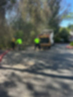 Alpha Wildfire Reduction crew working alongside fire agency personnel on vegetation management project