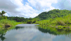 Estuary River