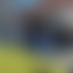 Lyckad korvgrillning