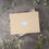 Thumbnail: Personalised Letterbox friendly Rose Quartz Moonstone Crystal Lucky Horseshoe We