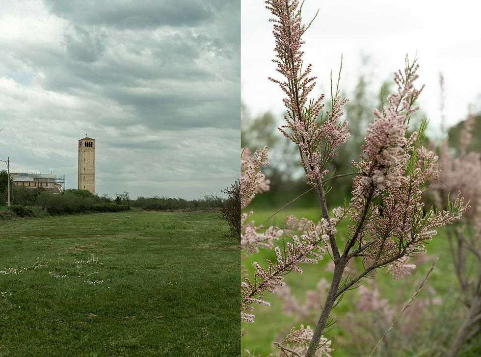Laguna veneziana all’isola di Torcello