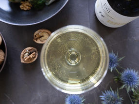 INTERNO CON Solaris | il vitigno piwi anticonformista