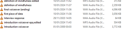 eidted voicoever.PNG