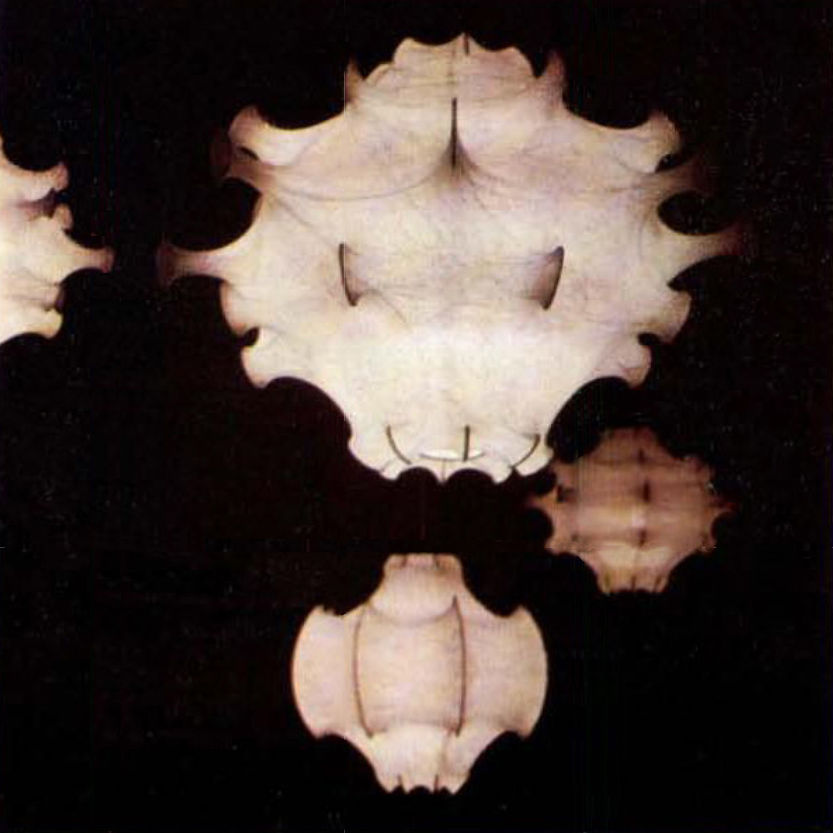 Thumbnail: Achille & Pier Giacomo Castiglioni, Taraxacum