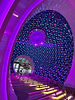 IMG_3890.JPG