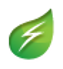 Lightning Leaf