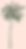 palm tree pink.png