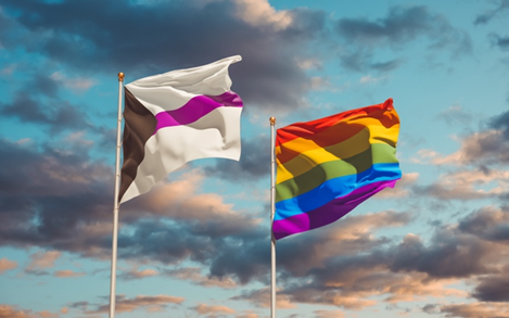 Demisexual flag and LGBTQIA+ flag on poles blowing in the wind