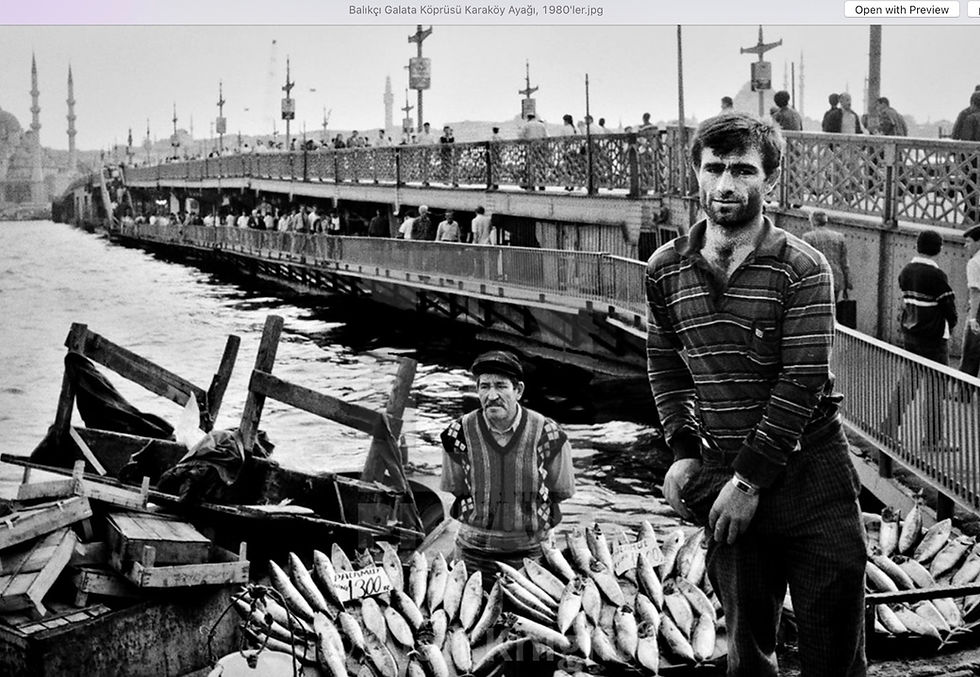 VII - Adalet ve Vicdan