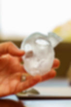 LAAO model