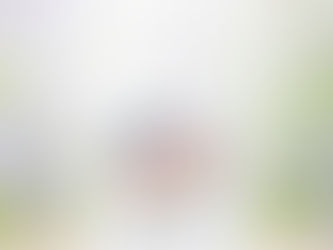 Top 10! Monogrammed Watercolor Blue Pink Spring Floral Grocery Bag