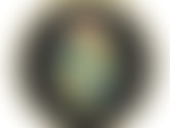 Big Deals! Sweden & Swedish Coat of Arms, Flag / business Gold Finish Lapel Pin