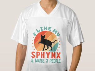 Hot Deals! Canadian Hairless Sphynx Cat Owner Humor Men's Football Jersey