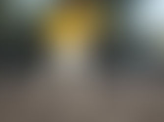 Big Deals! Lovely Dogs Leggings