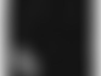 Review BIG BROTHER dog bandana | Black pet neckerchief