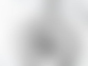 Best Price! Pet Memorial Gone But Not Forgotten Modern Photo Silver Plated Necklace