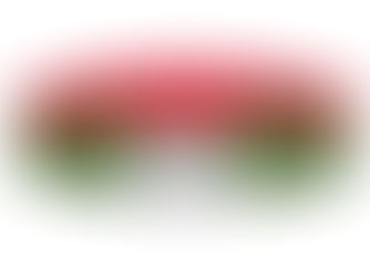 Hot Review! Reversable Class B Belt (Left-Handed)