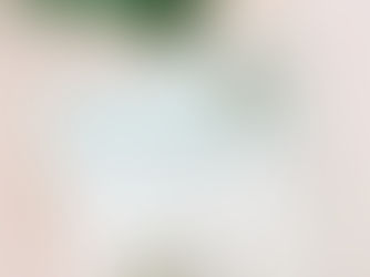 Best Deals! Tropical Watercolor Palm Trees Wedding Planner 3 Ring Binder