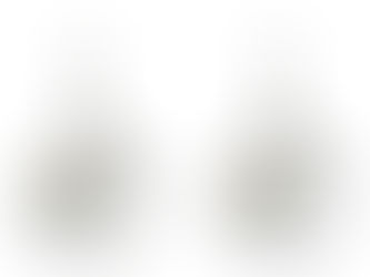 Top 10! Clay Pigeon Trap Shooting Earrings