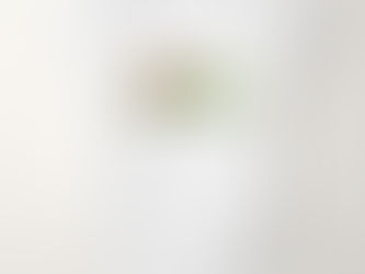 Best Price! Choo Choo Train Baby Bodysuit